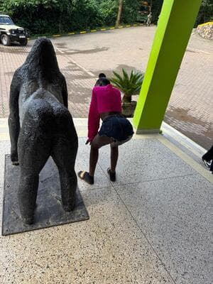 Bwindi Impenetrable Forest